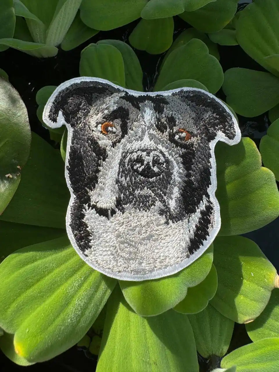 Close-up of American Bulldog embroidery details