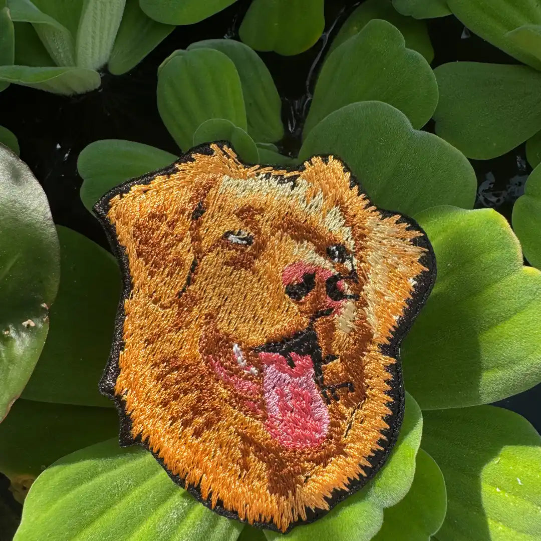 Realistic cat embroidery patch on water-resistant twill