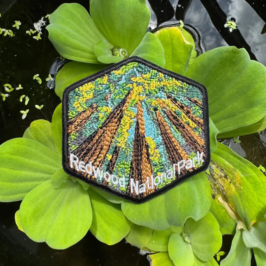 Embroidered redwoods patch with black border