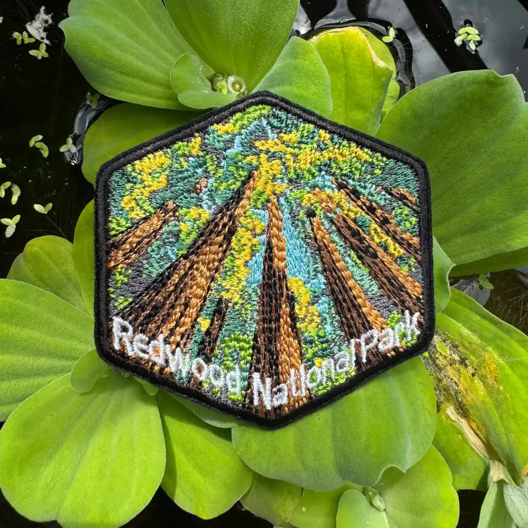 Close-up of Redwood National Park embroidery design