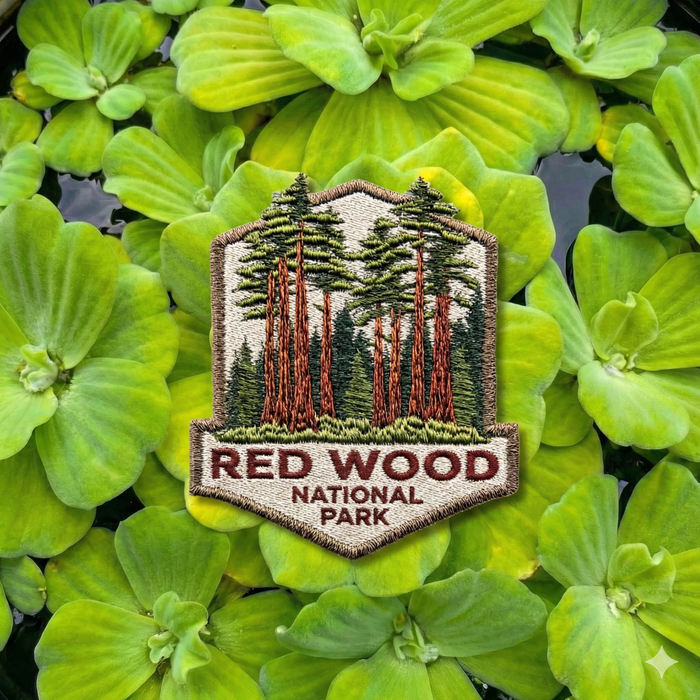 Redwood National Park Embroidered Patch – Sequoia Trees Iron-On Appliqué