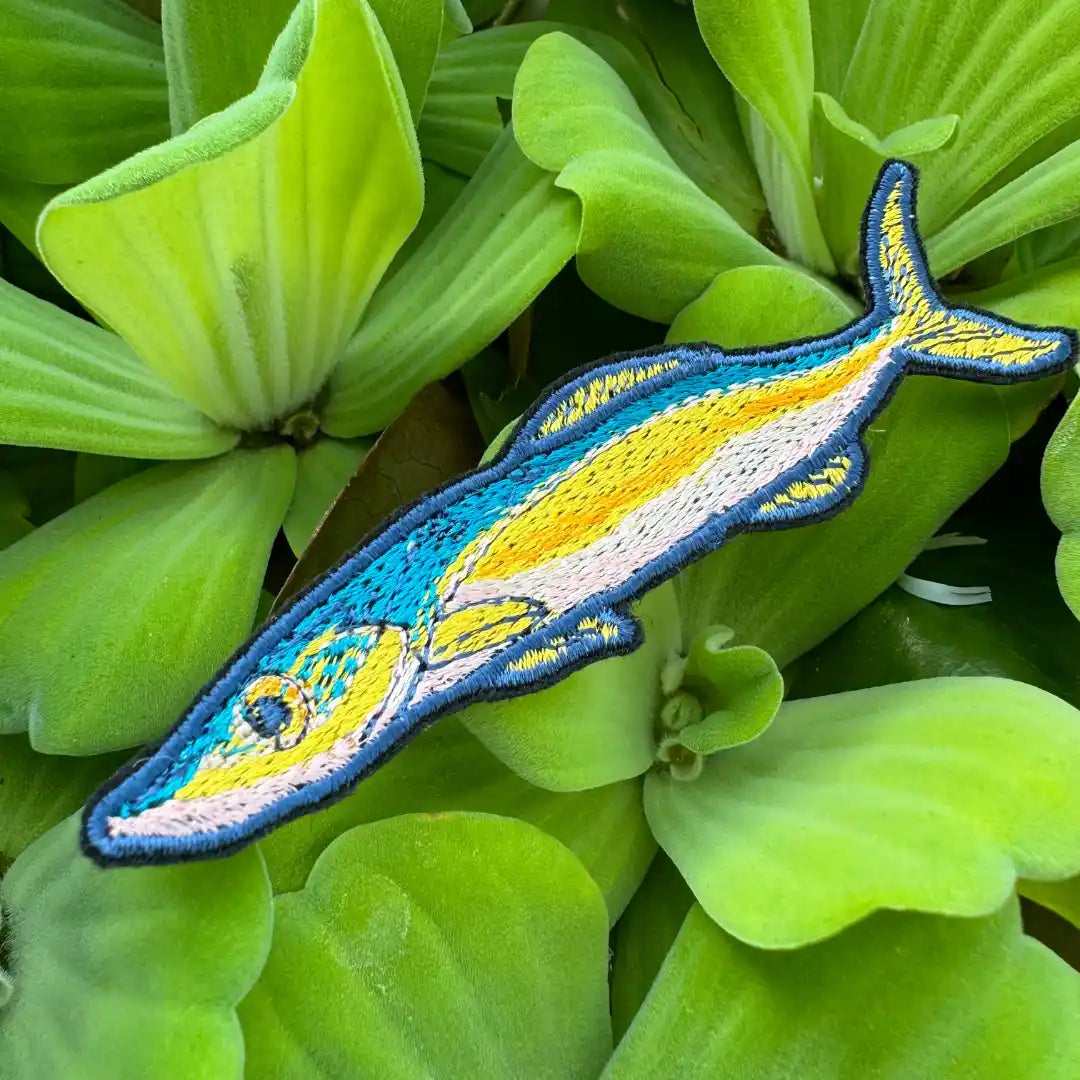 Close-up of slender fish embroidery for marine lovers
