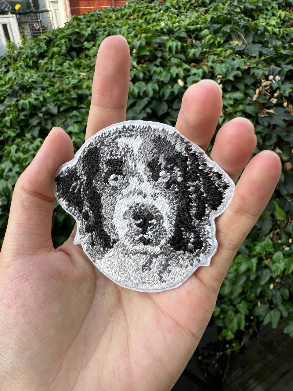 Landseer Dog Portrait Patch Embroidered Patch – Iron On / Sew On 🧵