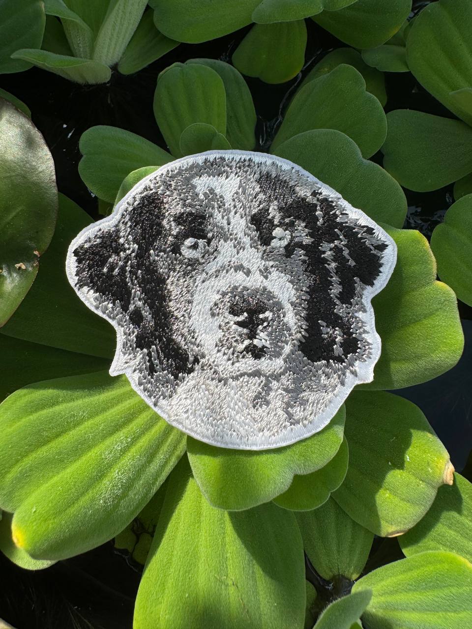 Landseer Dog Portrait Patch Embroidered Patch – Iron On / Sew On 🧵