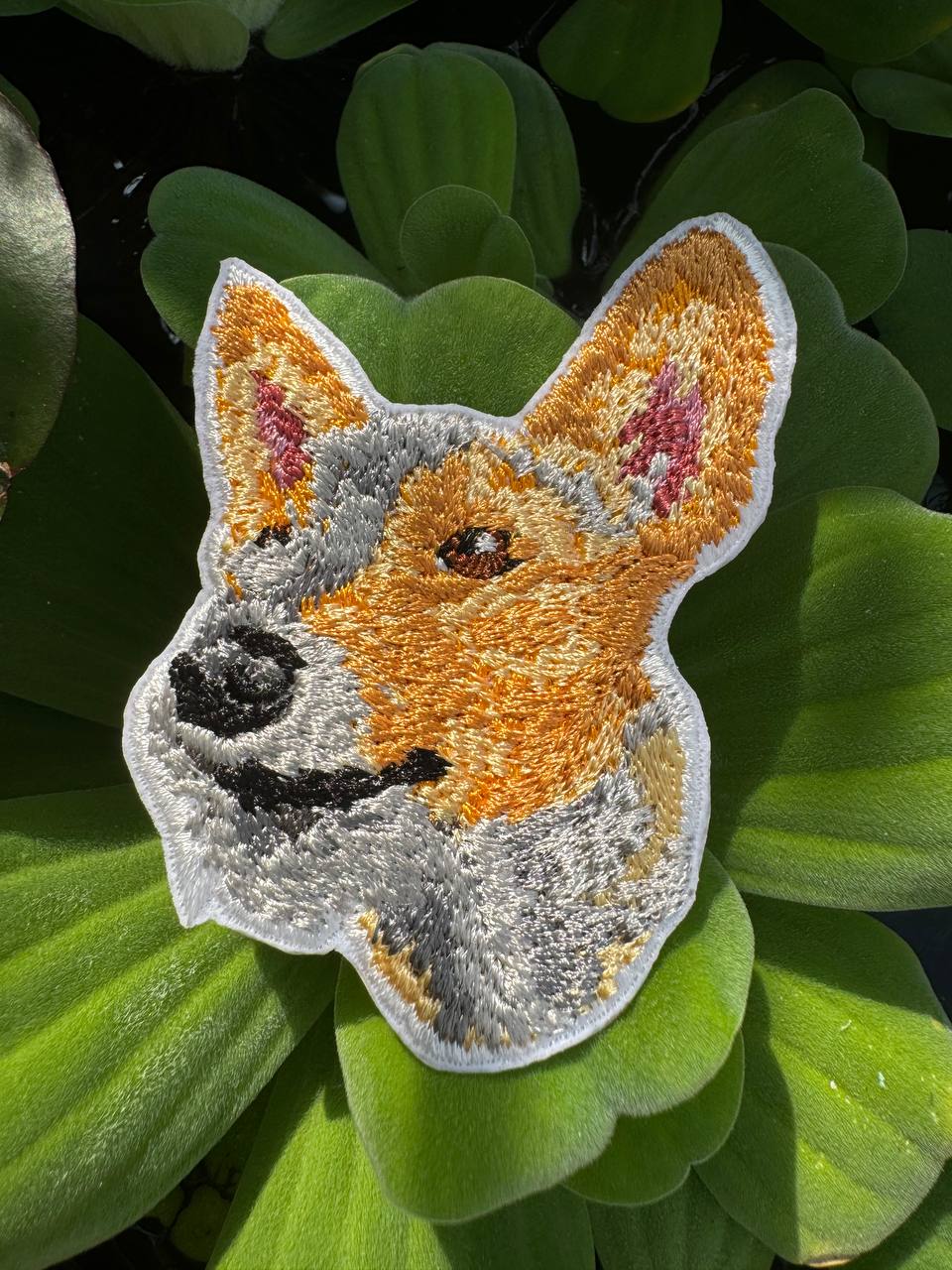 Portuguese Podengo Dog Portrait Patch Embroidered Patch – Iron On / Sew On 🧵