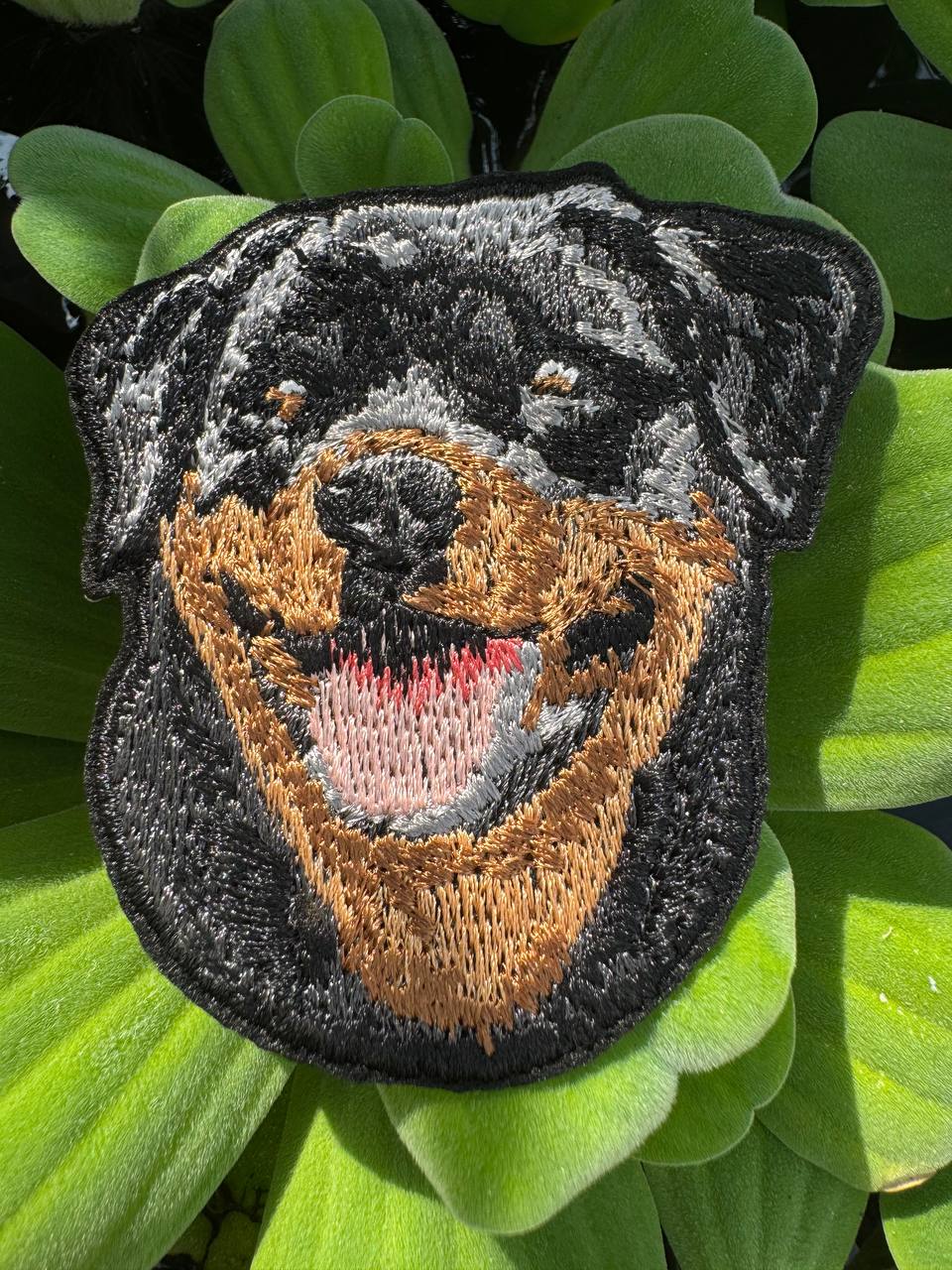 Rottweiler Dog Portrait Patch Embroidered Patch – Iron On / Sew On 🧵