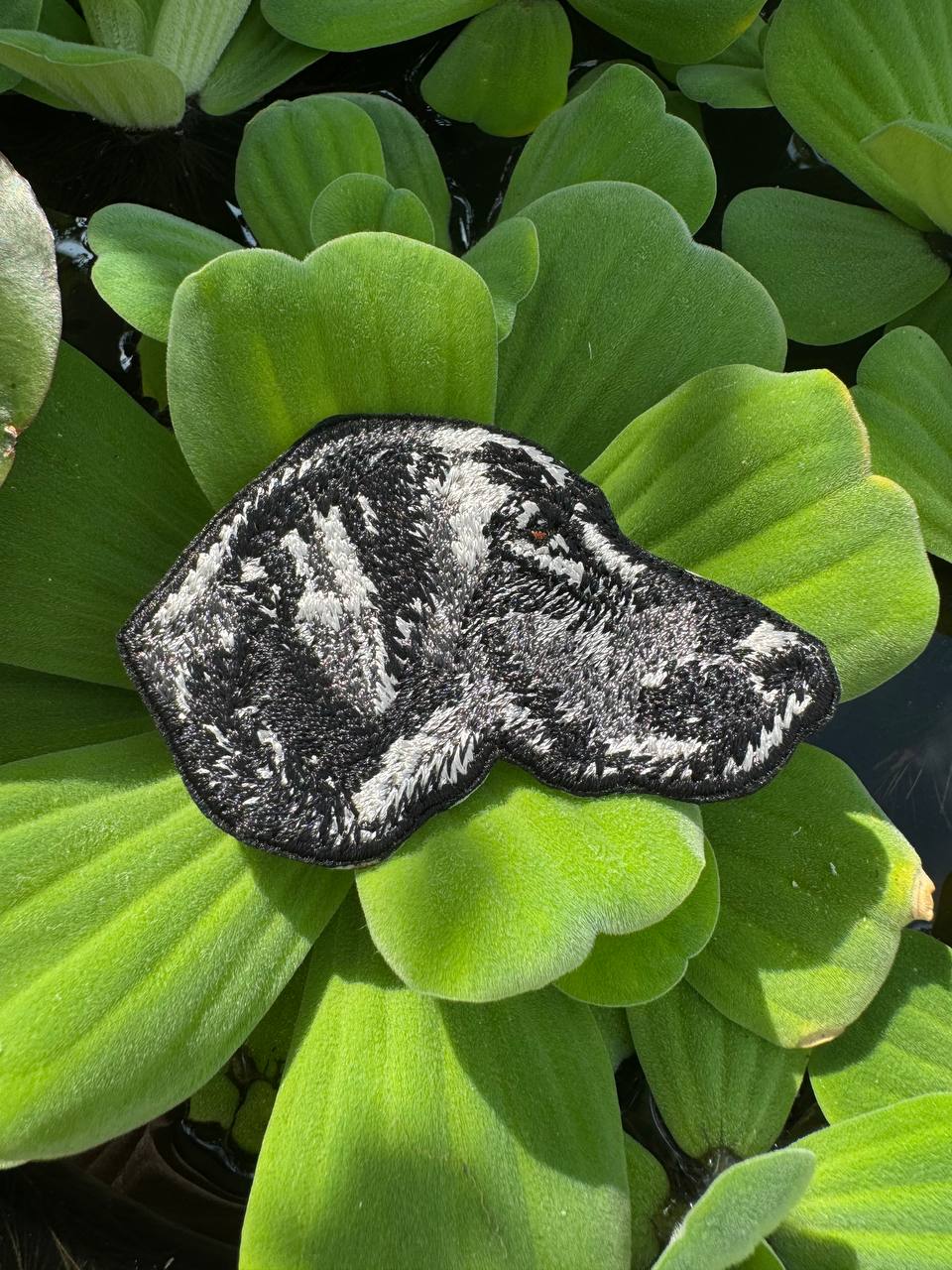 German Shorthaired Pointer Patch Embroidered Patch – Iron On / Sew On 🧵