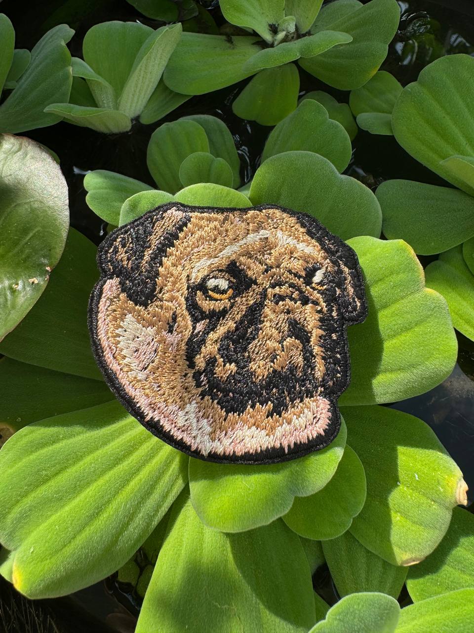 Pug Dog Embroidered Patch – Iron On / Sew On 🧵