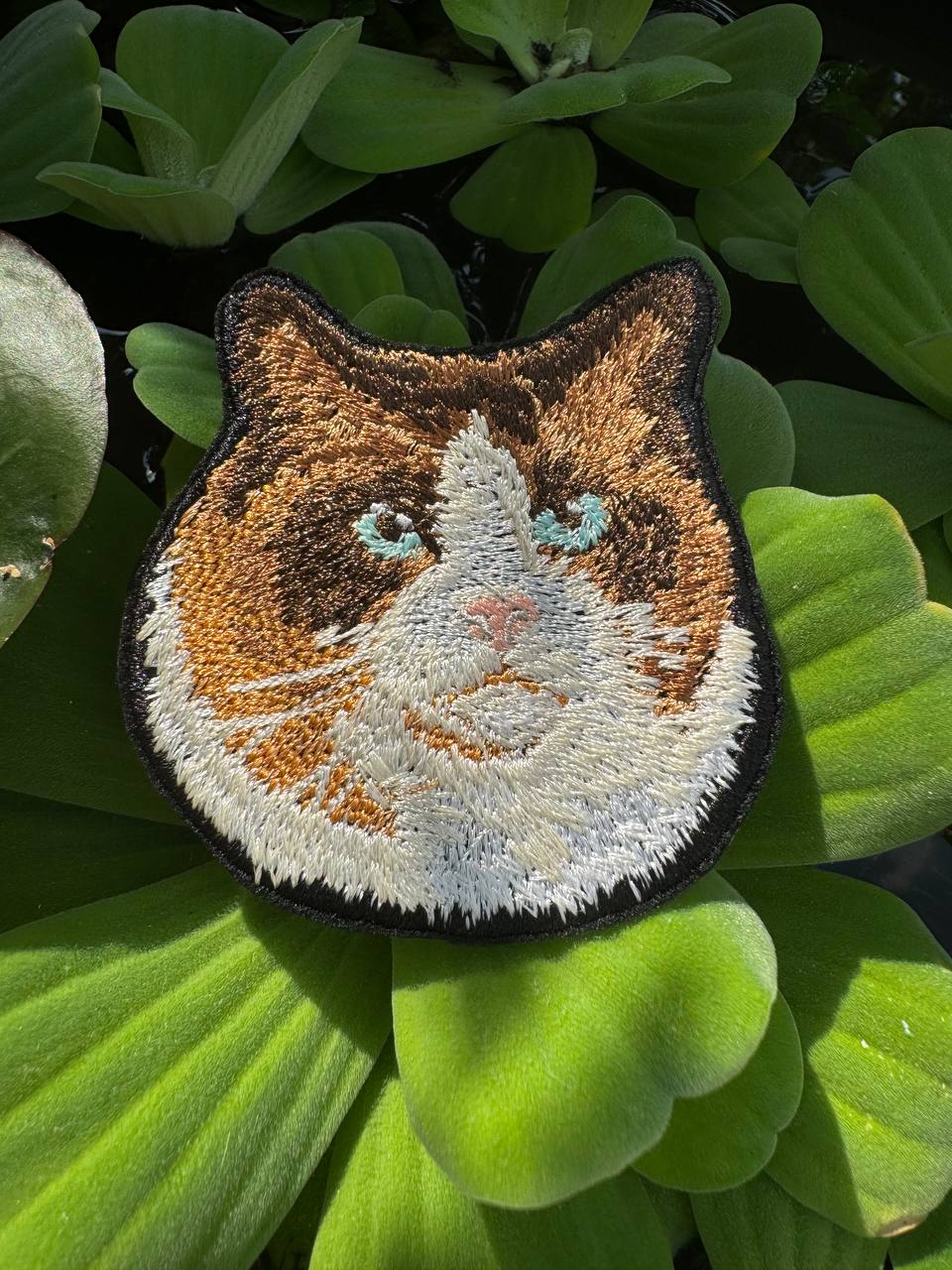 Ragdoll Cat Embroidered Patch – Iron On / Sew On 🧵