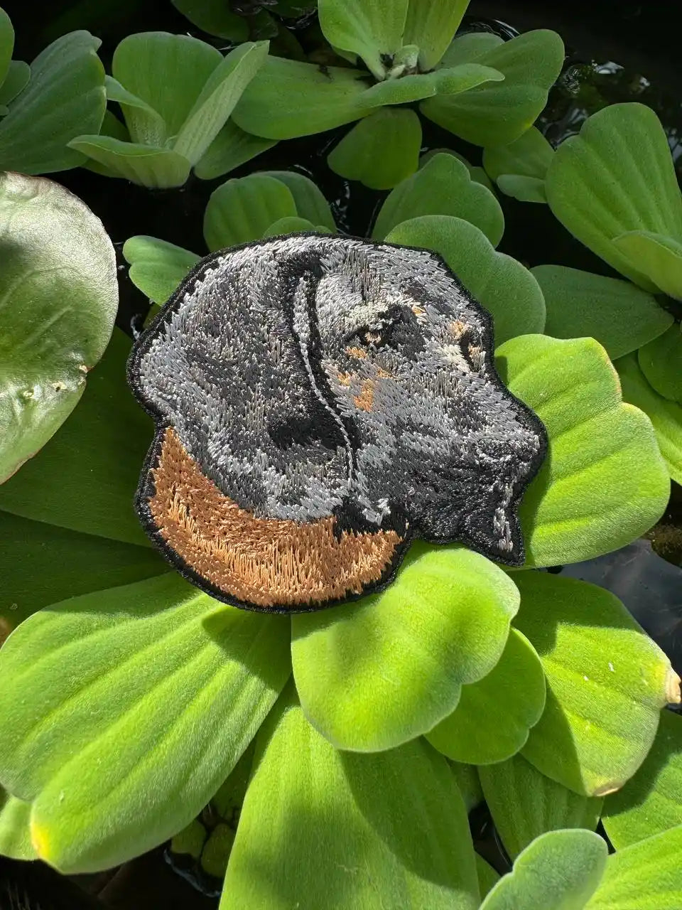 Bavarian Mountain Hound patch close-up embroidery texture