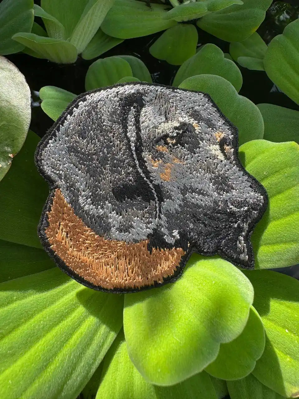 Bavarian Mountain Hound patch close-up embroidery texture