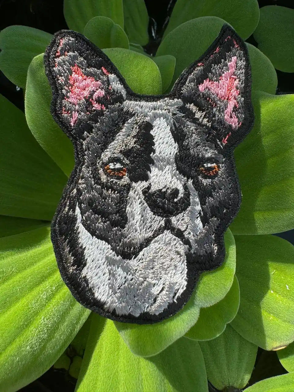 Boston Terrier embroidered patch on denim jacket