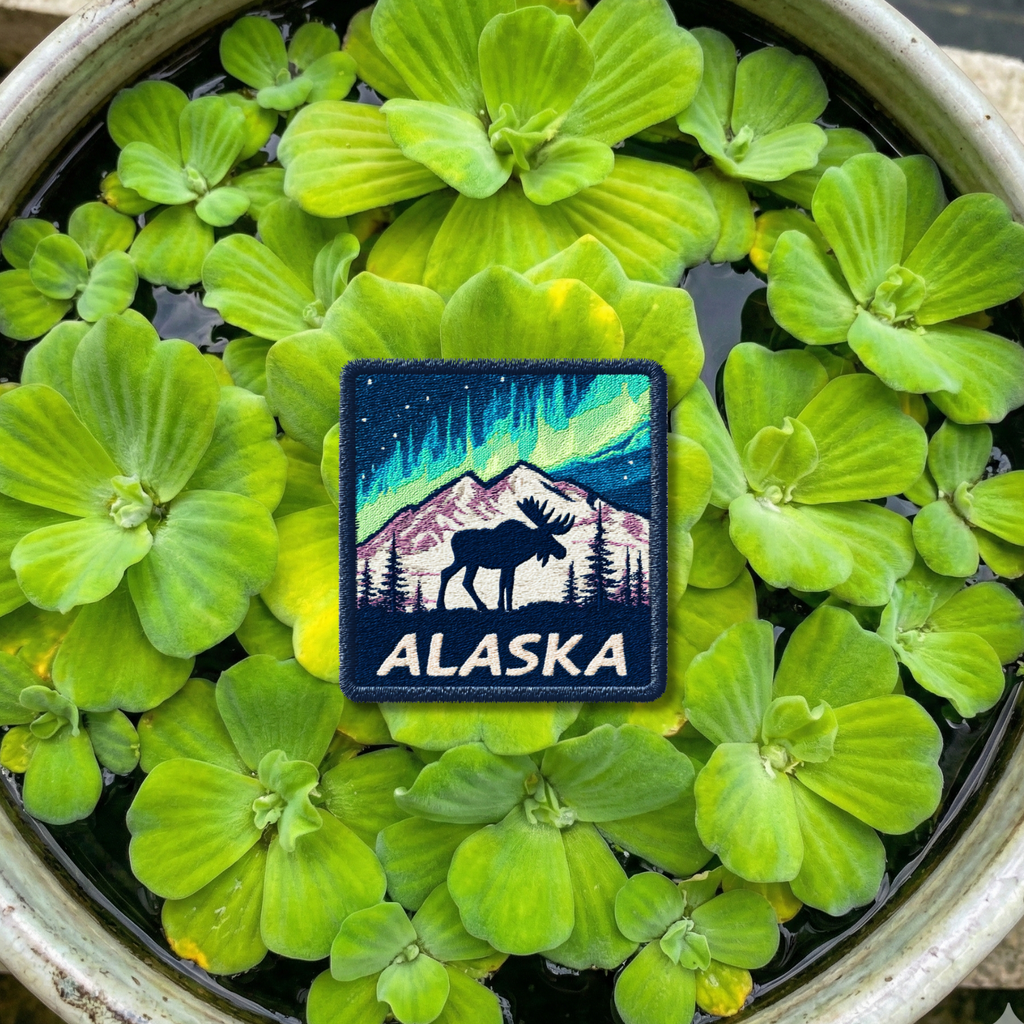 Close-up embroidery detail of Alaska northern lights travel patch
