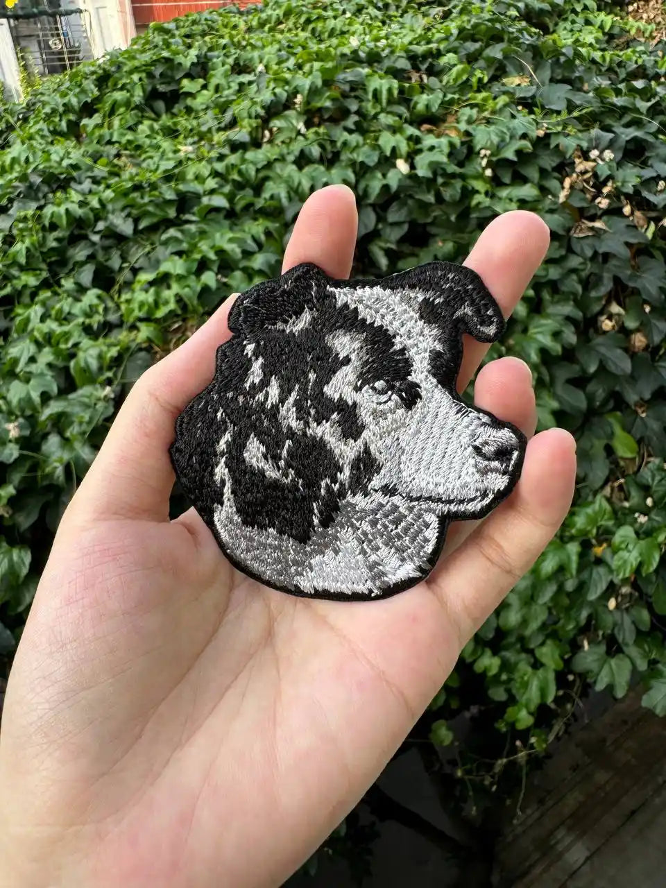 Detailed Border Collie patch for jackets, backpacks, and totes