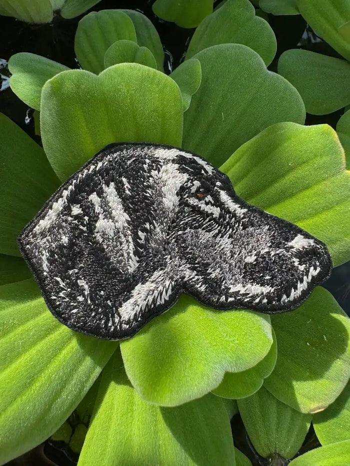 German Shorthaired Pointer Patch – Embroidered Dog Portrait Iron On / Sew On 🧵