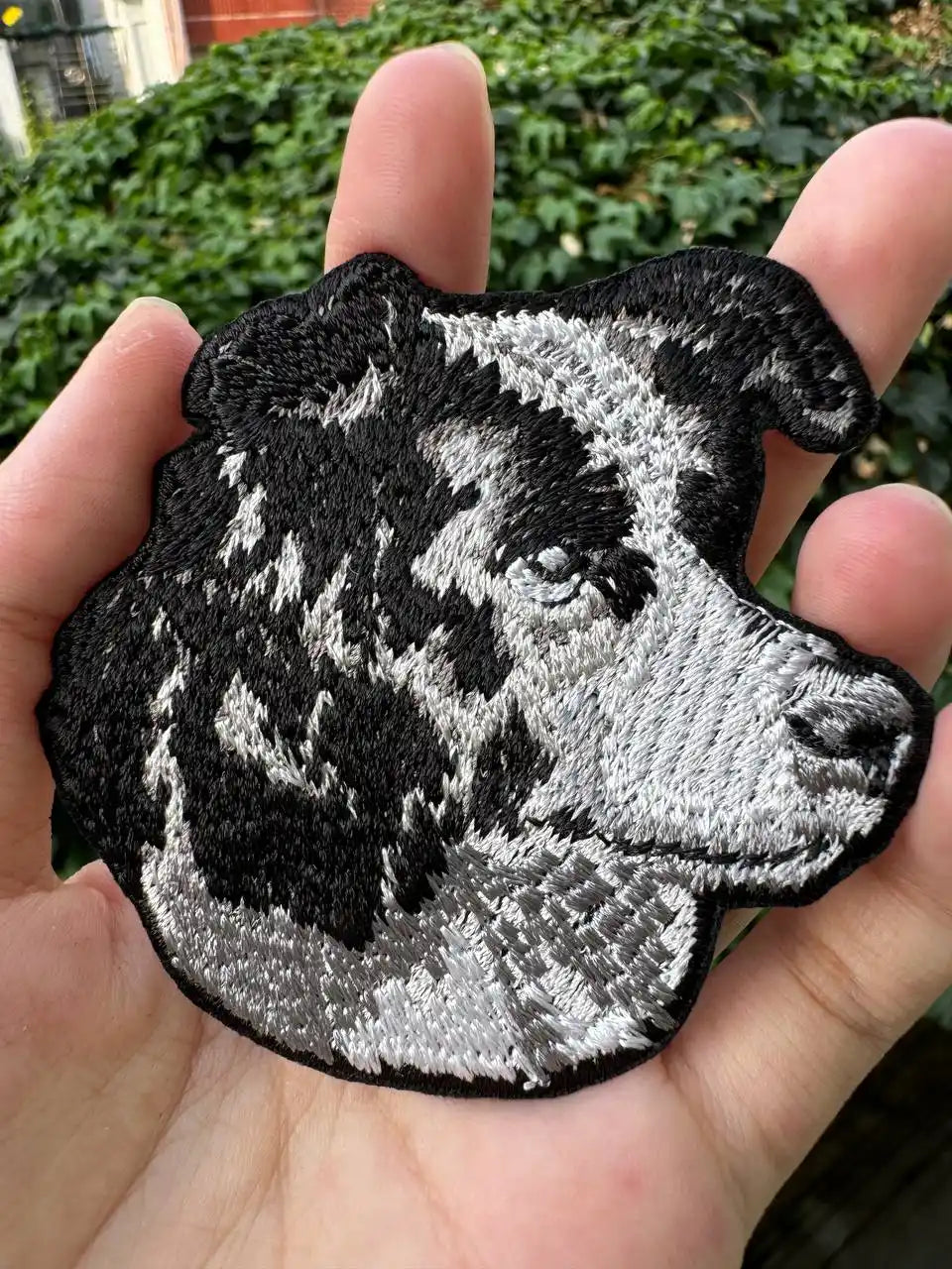 Iron on Border Collie face patch for clothing or accessories
