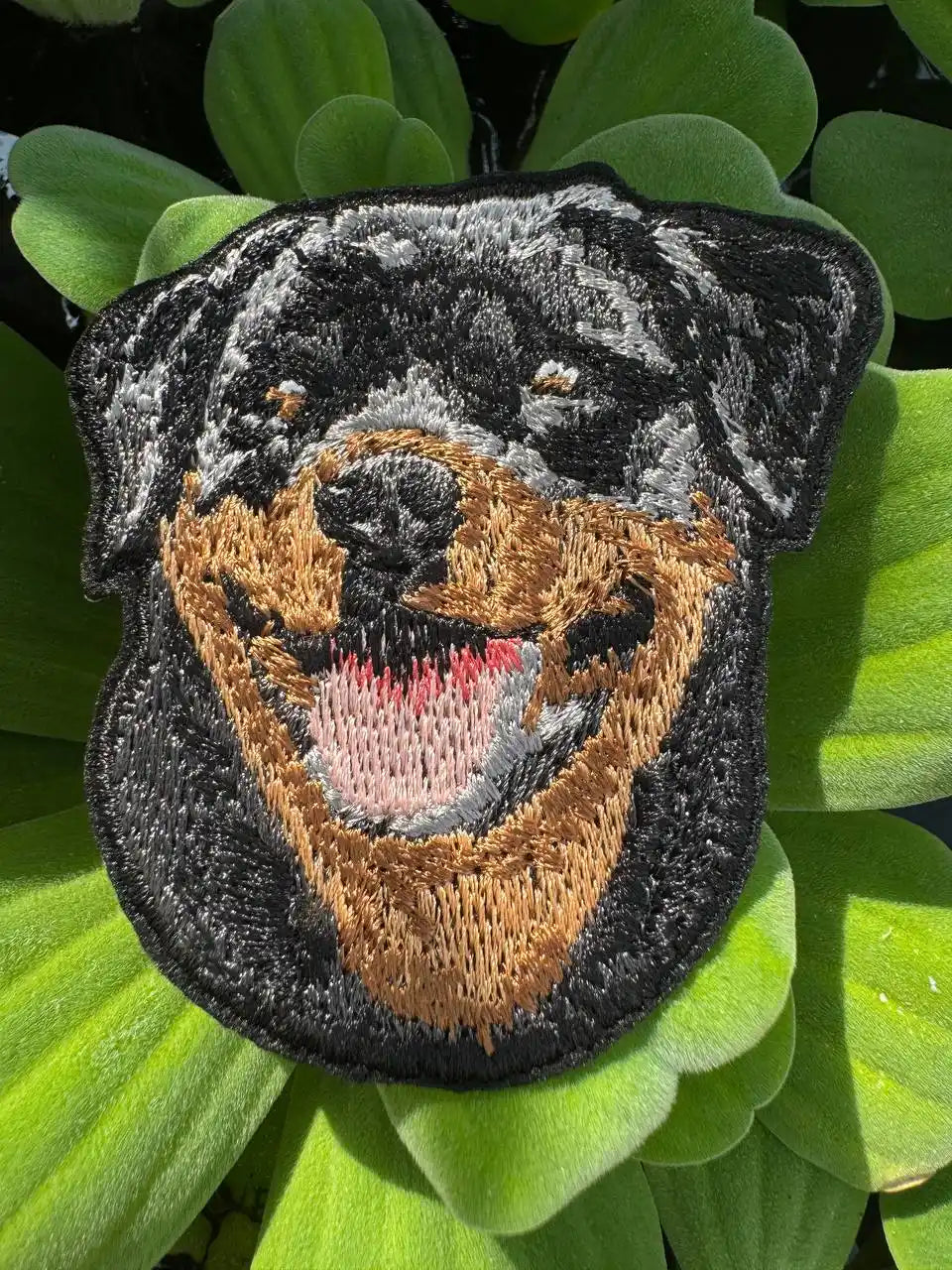 Iron on Rottweiler patch applied on denim jacket