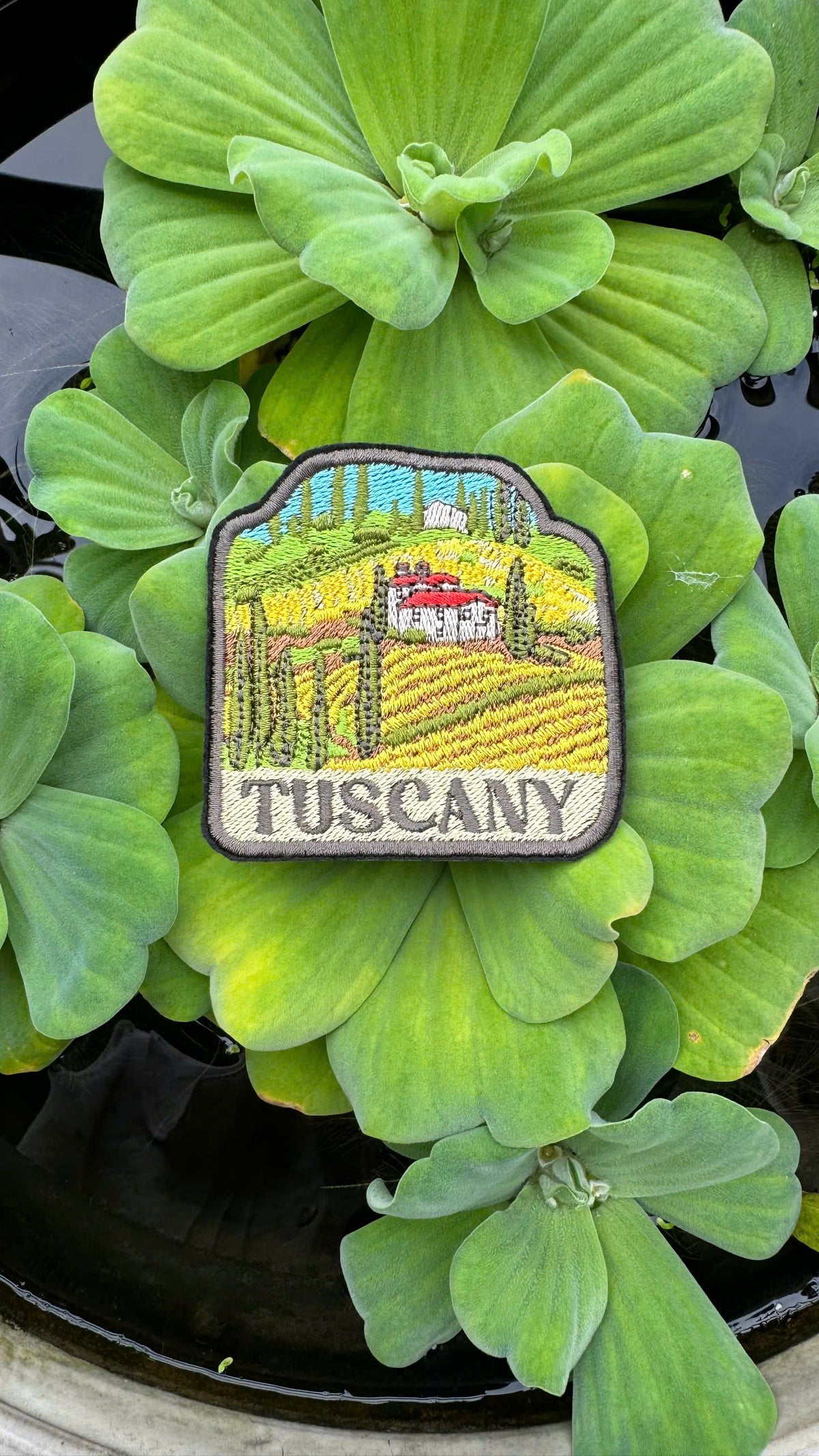 Patch of Tuscany on a green leafy background