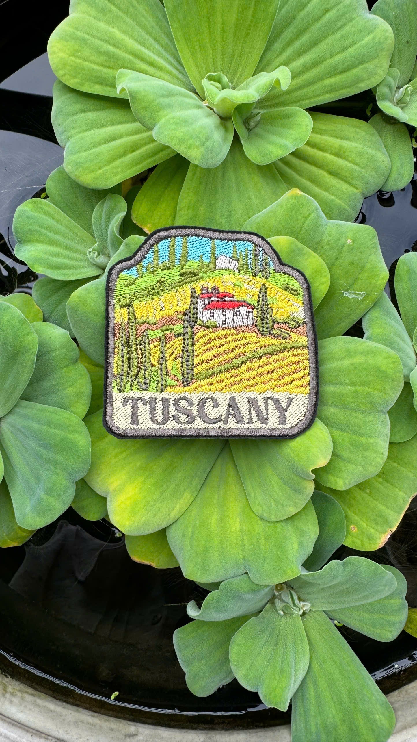 Patch of Tuscany on a green leafy background