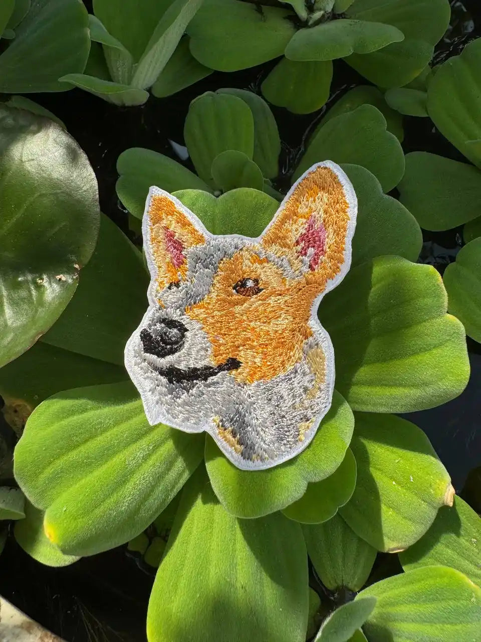 Sew-on dog portrait patch Portuguese Podengo