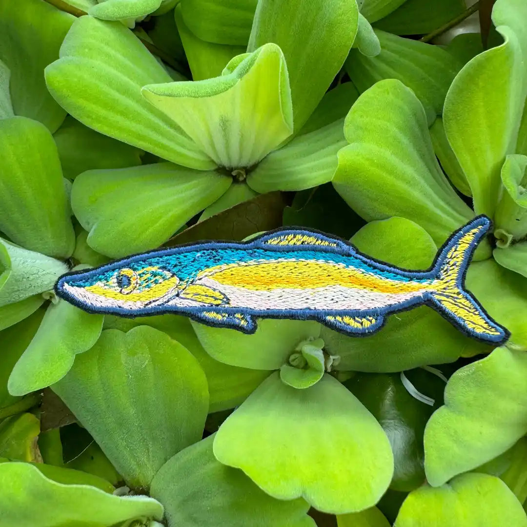 Embroidered patch of a sleek yellow and blue slender fish