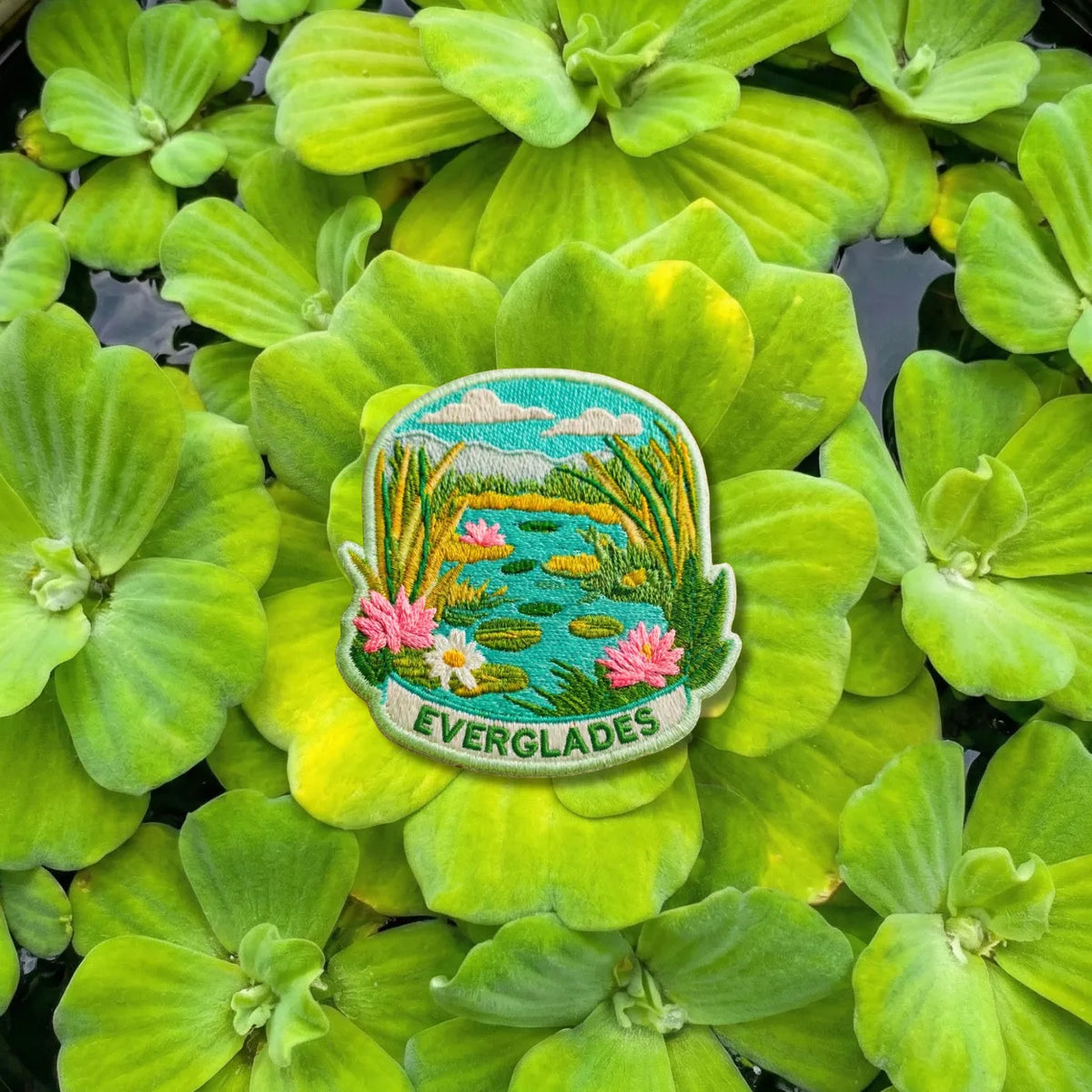 Florida Everglades Wetland Travel Patch - Embroidered Nature Souvenir for Backpacks & Jackets - product photo 1