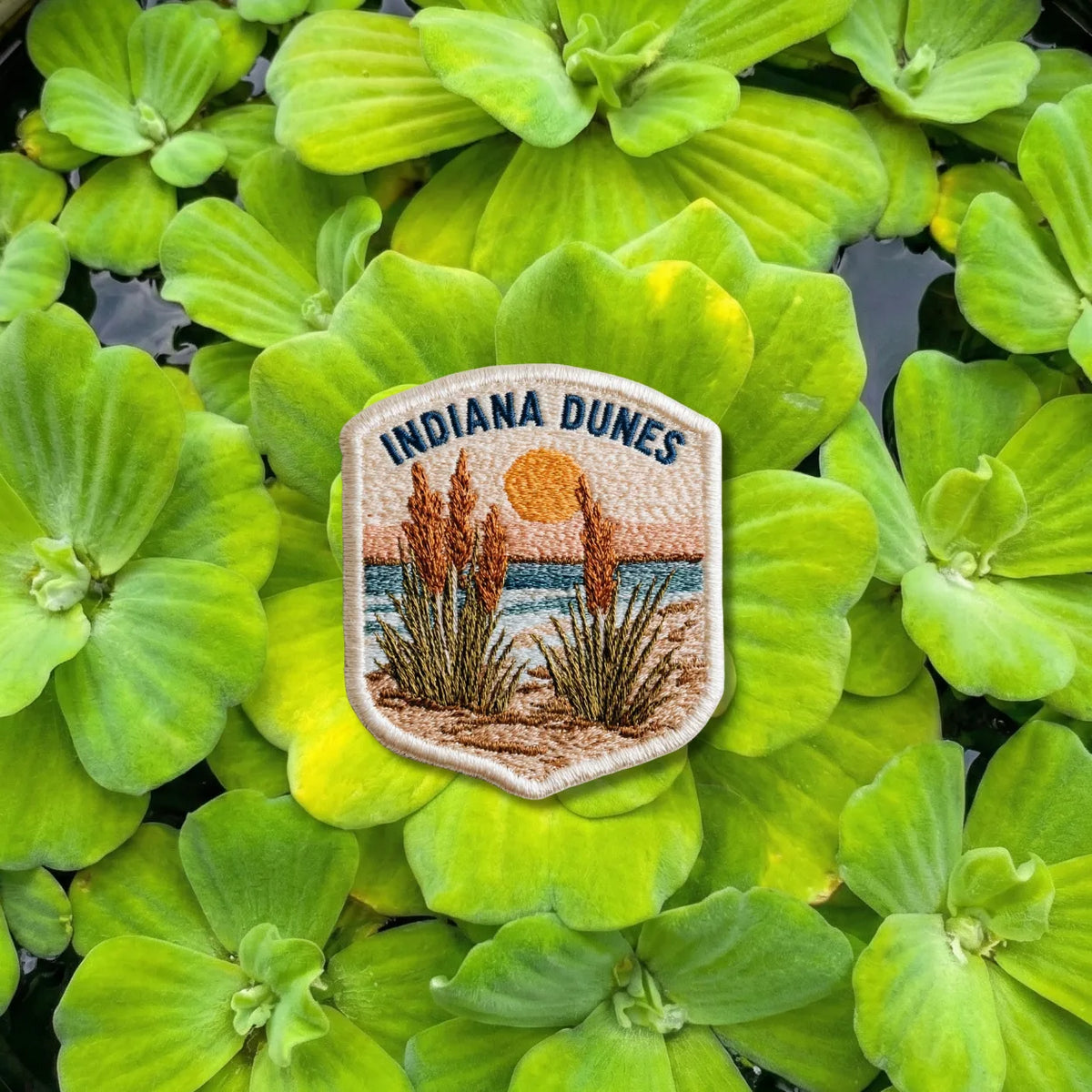 Indiana Dunes National Park Embroidered Patch - product photo 1