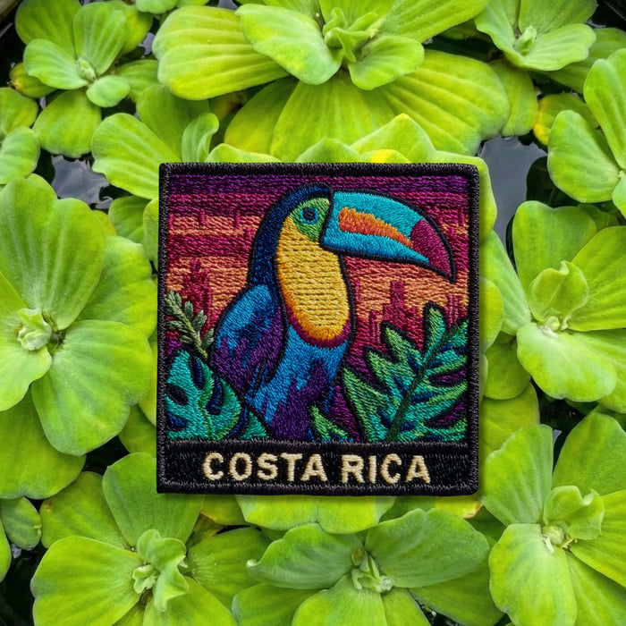Costa Rica Toucan Embroidered Iron On Patch