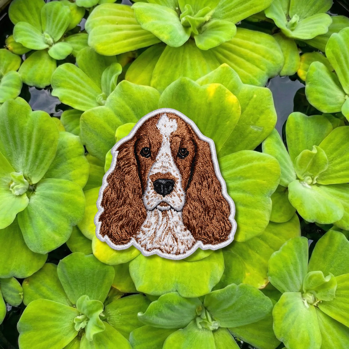 English Springer Spaniel Dog Breed Embroidered Patch - product photo 1