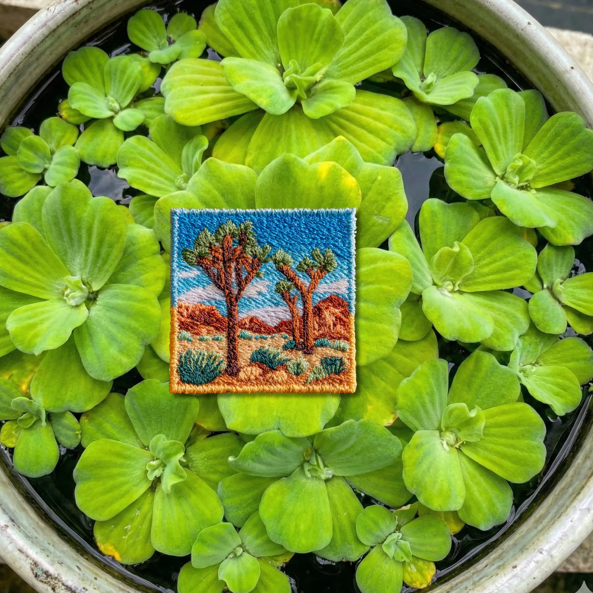 Joshua Tree National Park California Desert Embroidered Patch - product photo 1