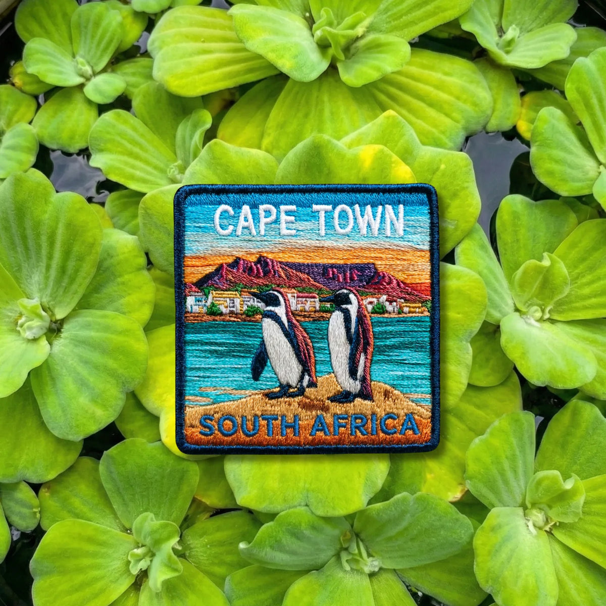 Cape Town South Africa Penguins Embroidered Patch - product photo 1