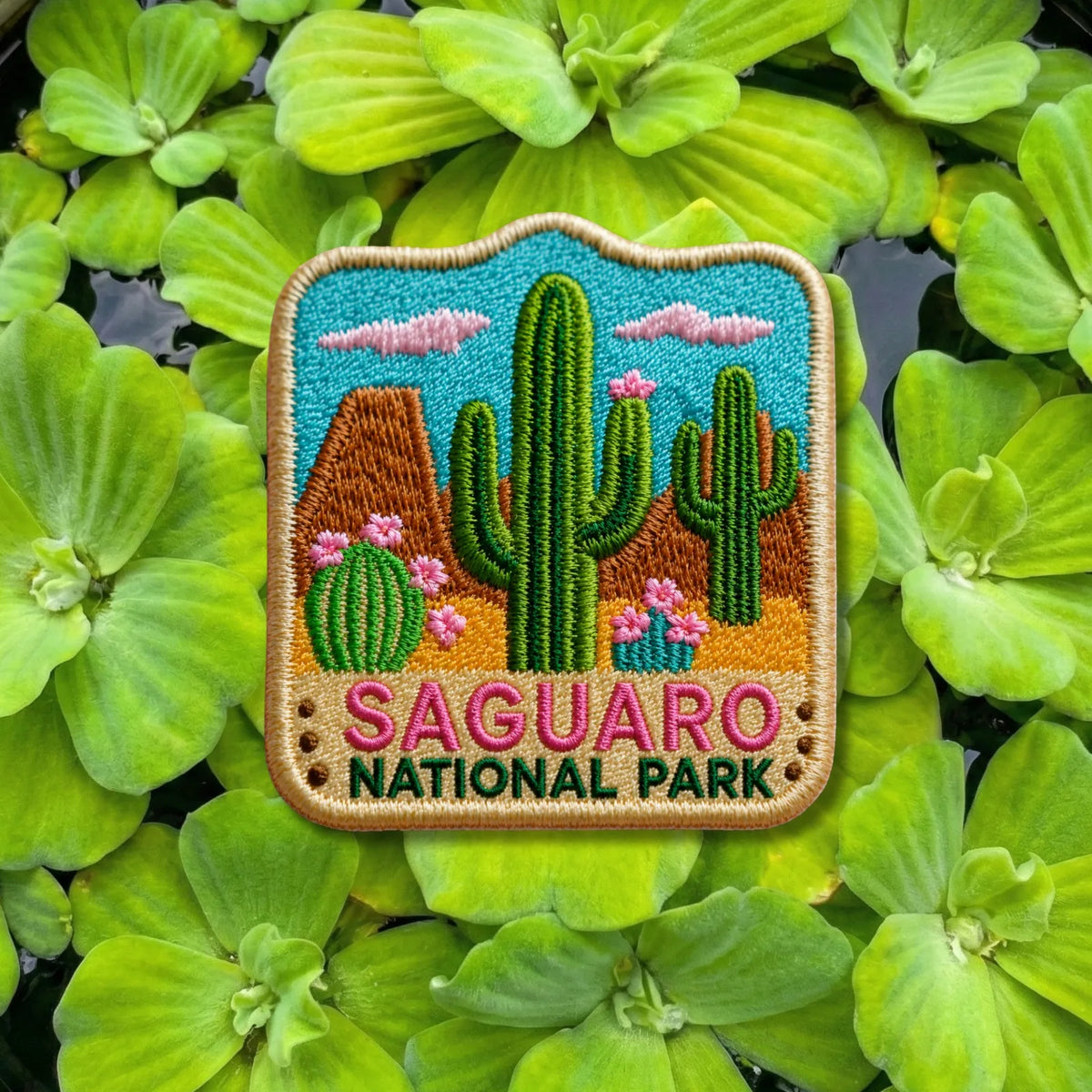 Saguaro National Park Arizona Cactus Embroidered Patch - product photo 2