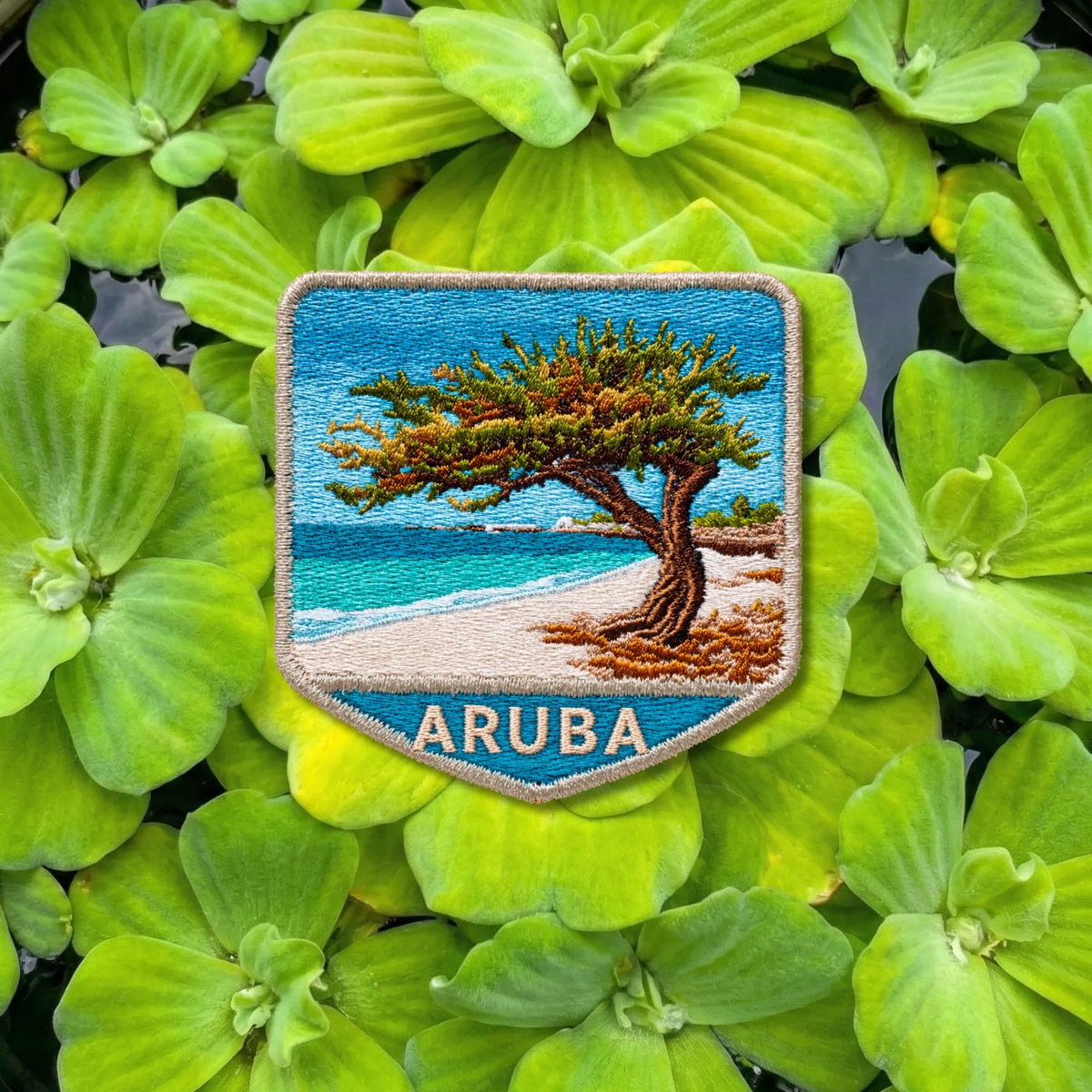 Aruba Beach Divi Divi Tree Embroidered Patch - product photo 2