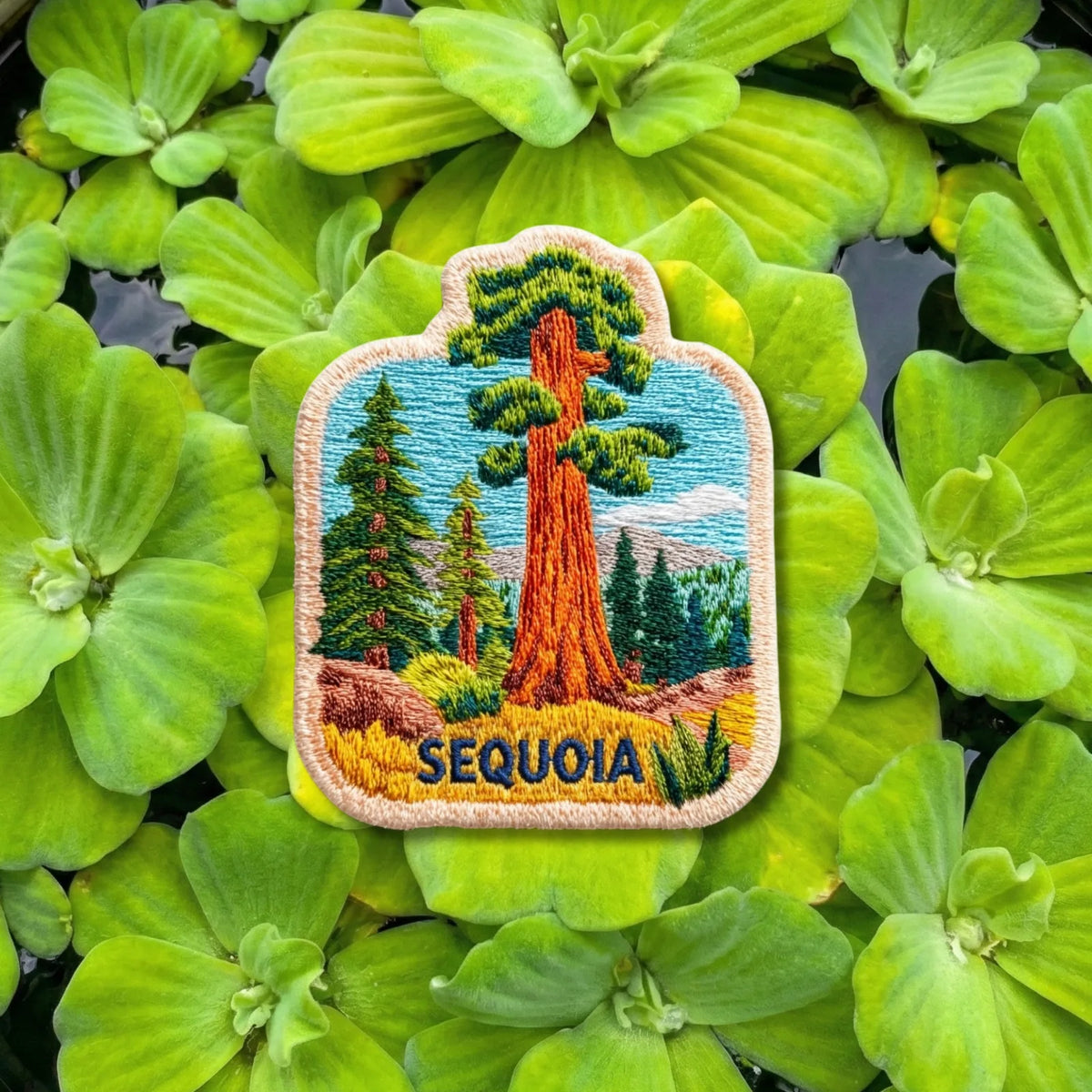 Sequoia National Park California Embroidered Patch - product photo 2