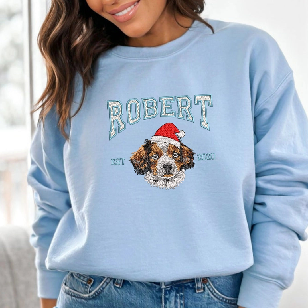 custom dog apparel Europe shipping ready