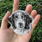 Landseer Dog Portrait Patch Embroidered Patch – Iron On / Sew On 🧵