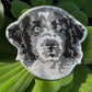 Landseer Dog Portrait Patch Embroidered Patch – Iron On / Sew On 🧵