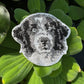 Landseer Dog Portrait Patch Embroidered Patch – Iron On / Sew On 🧵