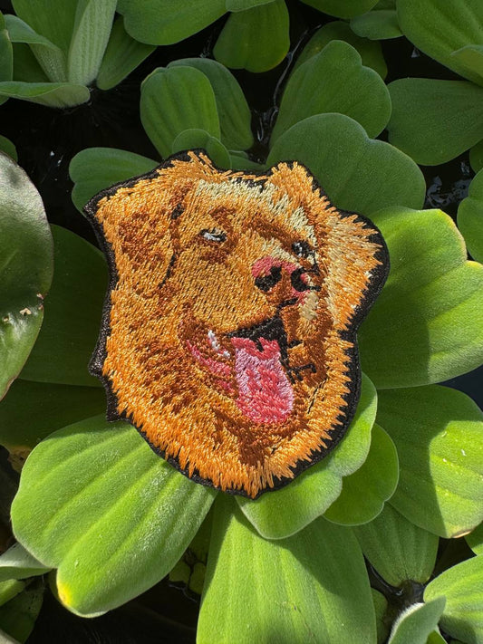Nova Scotia Duck Tolling Retriever Portrait Patch Embroidered Patch – Iron On / Sew On 🧵