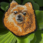 Pomeranian Dog Portrait Patch Embroidered Patch – Iron On / Sew On 🧵
