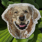Golden Retriever Dog Portrait  Patch Embroidered Patch – Iron On / Sew On 🧵