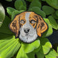 Beagle Dog Embroidered Patch – Iron On / Sew On 🧵