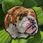 Old English Bulldog Embroidered Patch – Iron On / Sew On 🧵