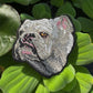 Bulldog Embroidered Patch – Iron On / Sew On 🧵