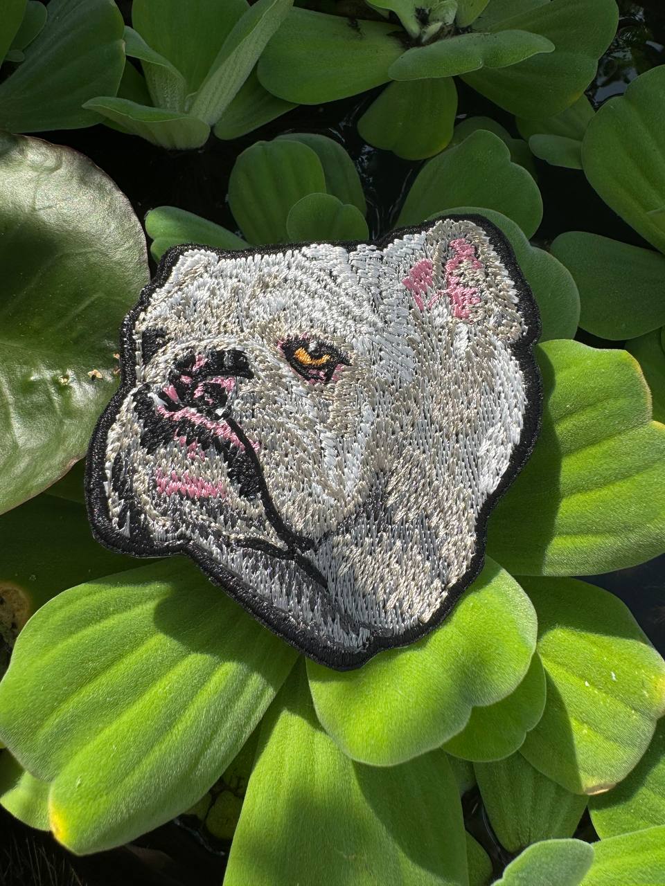 Bulldog Embroidered Patch – Iron On / Sew On 🧵