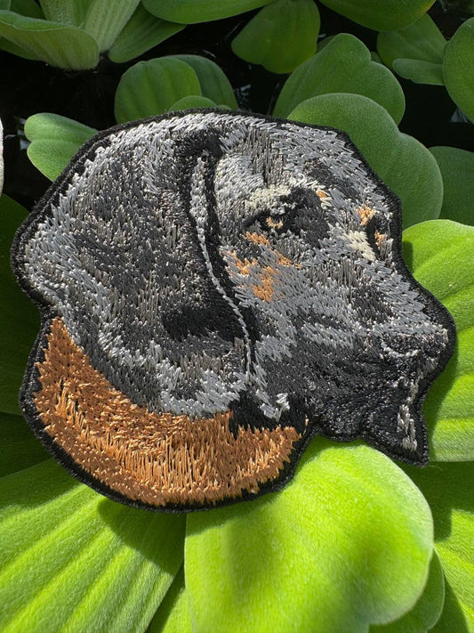 Bavarian Mountain Hound Embroidered Patch – Iron On / Sew On 🧵