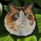 Ragdoll Cat Embroidered Patch – Iron On / Sew On 🧵