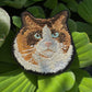 Ragdoll Cat Embroidered Patch – Iron On / Sew On 🧵