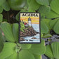 Acadia Travel Embroidered Patch – Iron On / Sew On 🧵