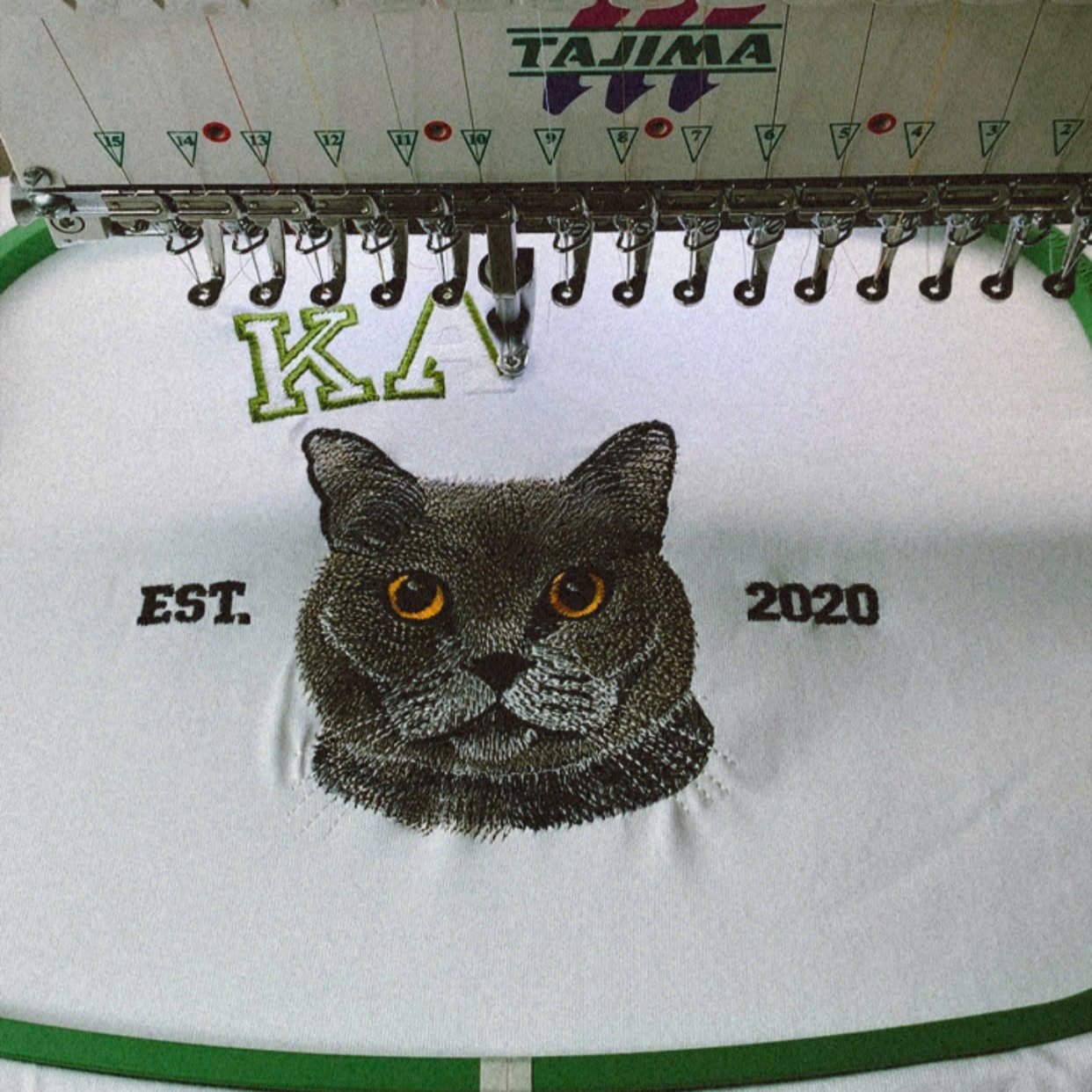 Custom Cat Hoodie Embroidered Cat Name, Personalized Pet Face Sweatshirt from Your Photo